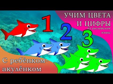 Мультик для малышей - УЧИМ ЦВЕТА И ЦИФРЫ на АНГЛИЙСКОМ с ребенком-акуленком