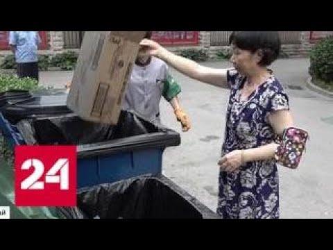 Китай из отходов получает доходы - Россия 24