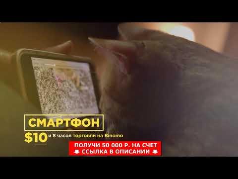 Валютные пары для новичков на бинарных опционах