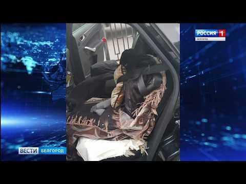 ГТРК Белгород - Шоу на чужом горе